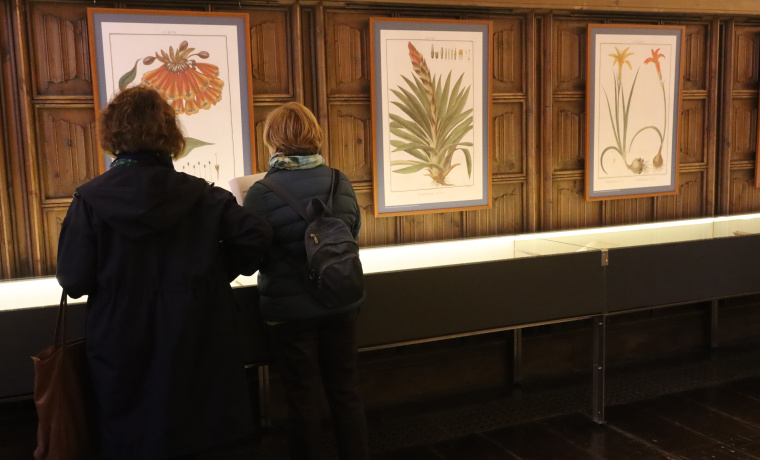 Acto de inauguración de la exposición