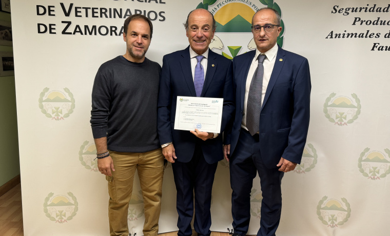 Rodrigo Morchón, Alberto Montoya y José Manuel Alonso en la entrega del premio