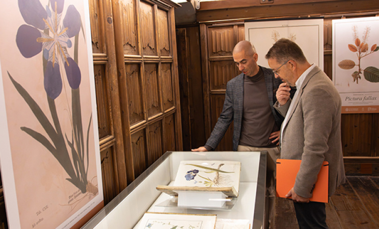 La exposición "Pictura fallax. La ilustración botánica en la Biblioteca Histórica"  en la Sala de la Columna de las Escuelas Mayores de la Universidad de Salamanca  