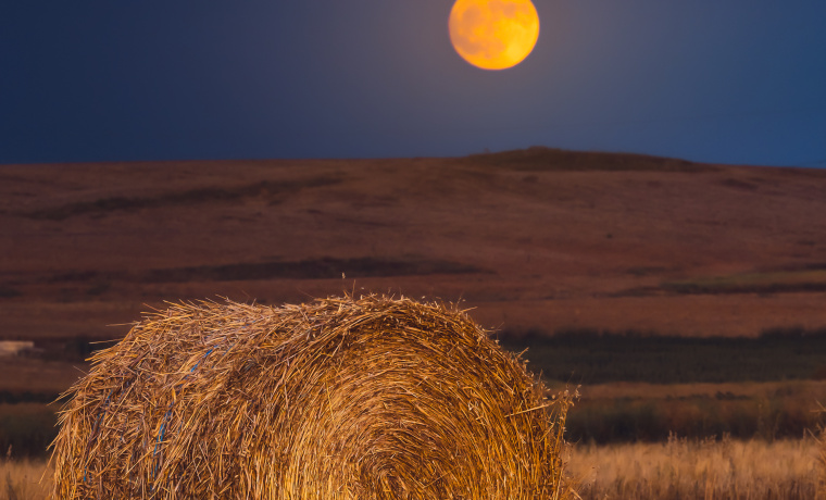 Primer Premio Categoría General. Jorge Tomás Jiménez