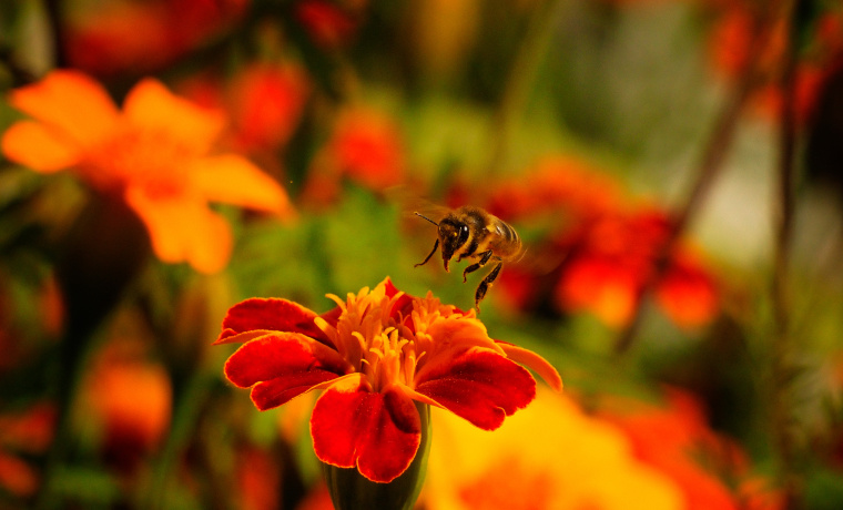 Primer Premio. Santiago Rodríguez Crego.