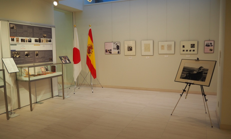 Detalle de la exposición