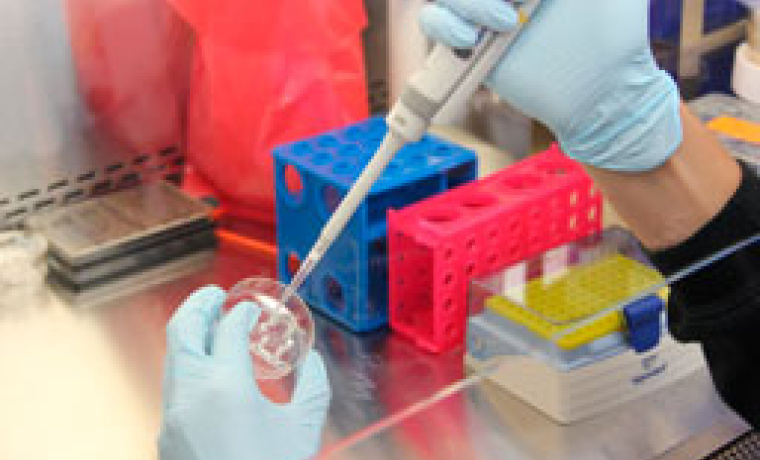 Momento de la votación del Claustro de Doctores.